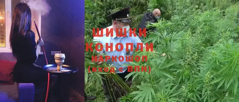 Бошки Шишки SATIVA & INDICA  сайты даркнета официальный сайт  Новоузенск  что такое  